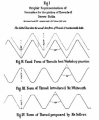 Thumbnail for version as of 10:16, 3 May 2026