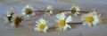 Thumbnail for version as of 14:02, 2 May 2026