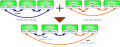 Thumbnail for version as of 10:03, 3 May 2026