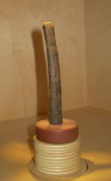 File:Locale RS6 Os d'Ishango IRSNB.JPG